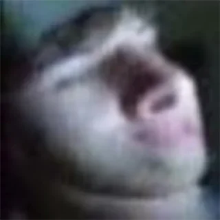 Стикер Soso - 1