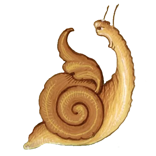 животное беспозвоночный улитка