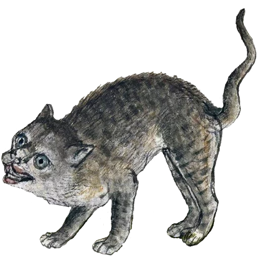 животное млекопитающее кошка