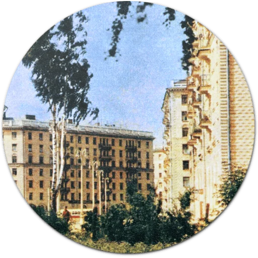 дерево небо на открытом воздухе