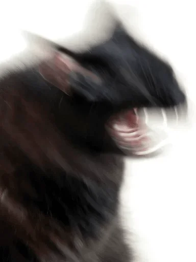 blurry animal mammal