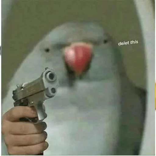 оружие птица Человек