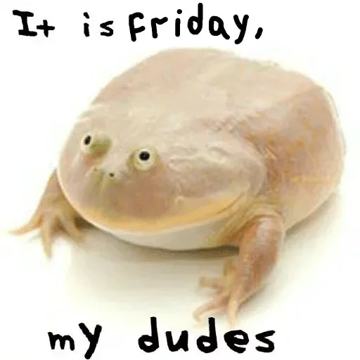 животное амфибия пресмыкающееся