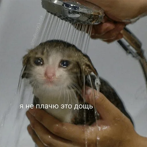 Sticker Animeшка — @stckrRobot - 7