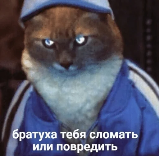 Sticker Kofein spizdil stiki — @stckrRobot - 6