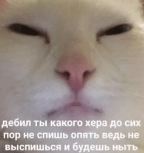 Sticker Kofein spizdil stiki — @stckrRobot - 3