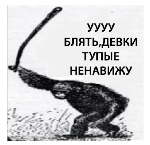 СМС эскиз млекопитающее