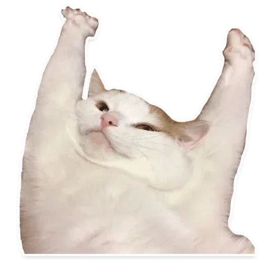 Sticker пак @chebrik ✌?? — @stckrRobot - 6