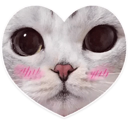 Sticker пак @chebrik ✌?? — @stckrRobot - 4