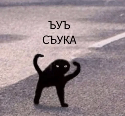 Хындыр мындыр — @stckrRobot - animal