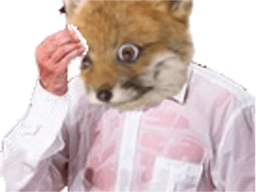 Человек домашнее животное мех