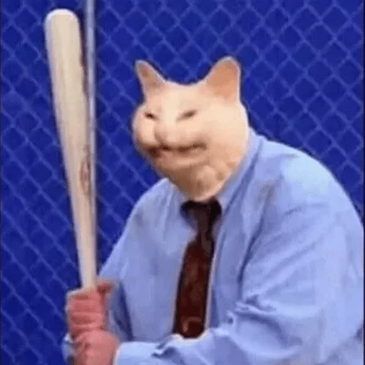 кошка бейсбол Человек