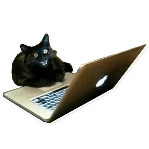 компьютер животное кошка