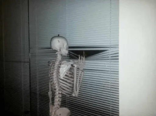 wall indoor window blind