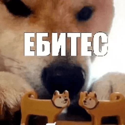 медведь игрушка панда