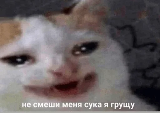 Стикер V-Pack 2.0 — @stckrRobot - 7