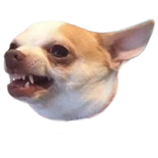 Стикер Твои стикеры — @stckrRobot - 10