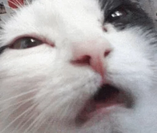 Стикер Твои стикеры — @stckrRobot - 6