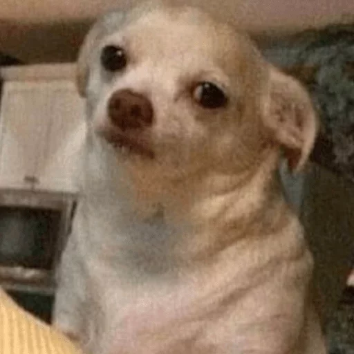 Стикер Твои стикеры — @stckrRobot - 5