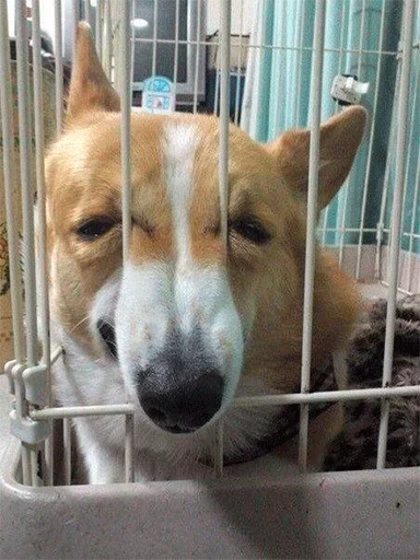 Стикер Твои стикеры — @stckrRobot - 4