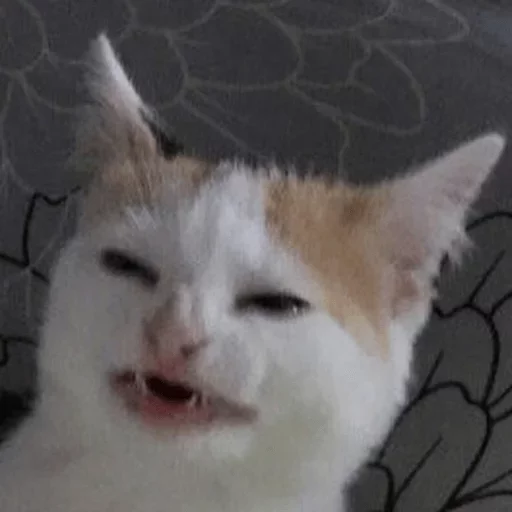 Стикер Твои стикеры — @stckrRobot - 1