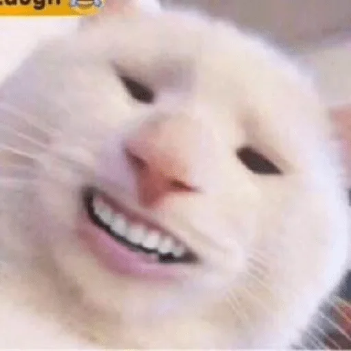 Стикер 1157 — @stckrRobot - 9