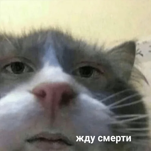 1157 — @stckrRobot - 