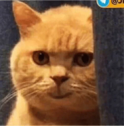 Стикер 1157 — @stckrRobot - 3