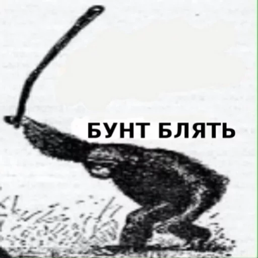 Стикер аморальная жизнь — @stckrRobot - 2