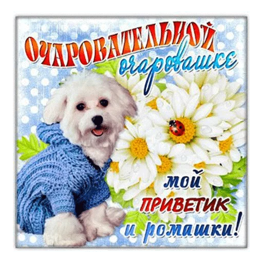 животное СМС цветок