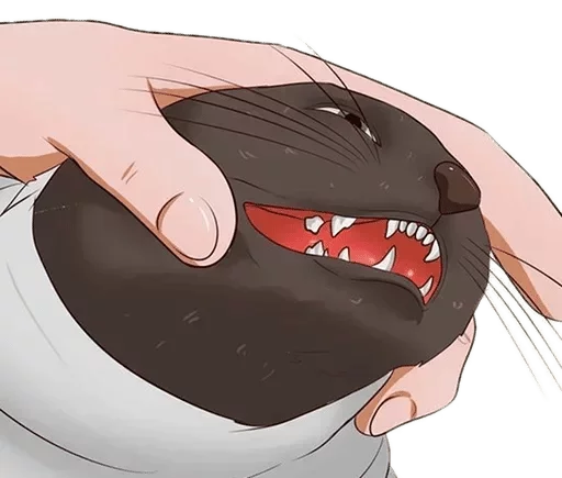 аниме мультфильм иллюстрация