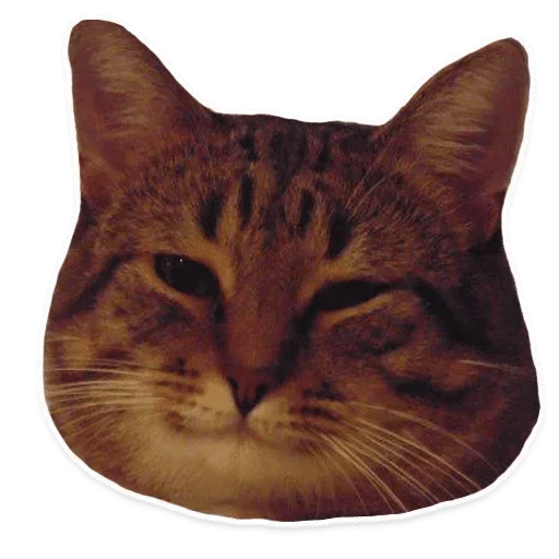 быдла хануся — @stckrRobot - mammal