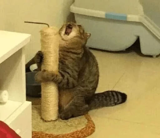 Стикер Скукота да и только — @stckrRobot - 6