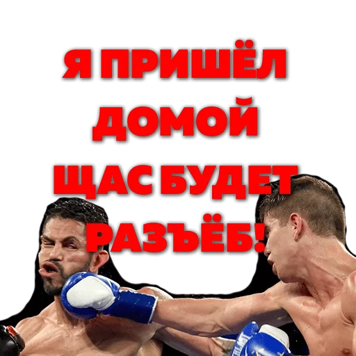 спорт бокс СМС