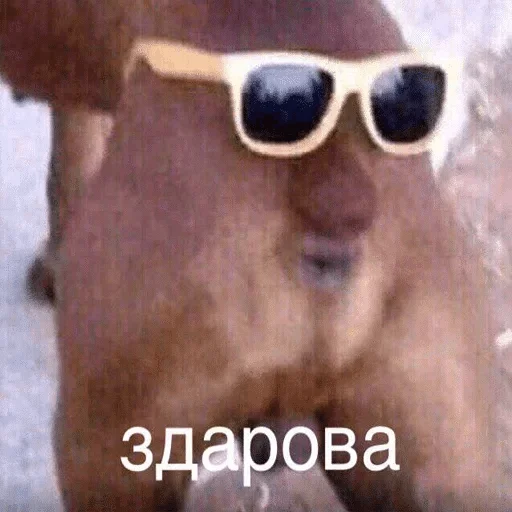 аксессуар очки Очки