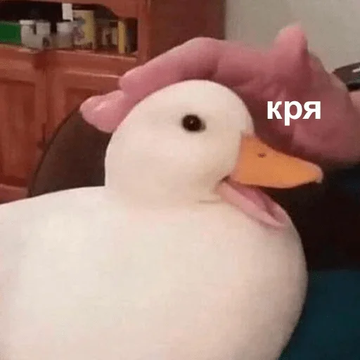 aquatic bird duck toy