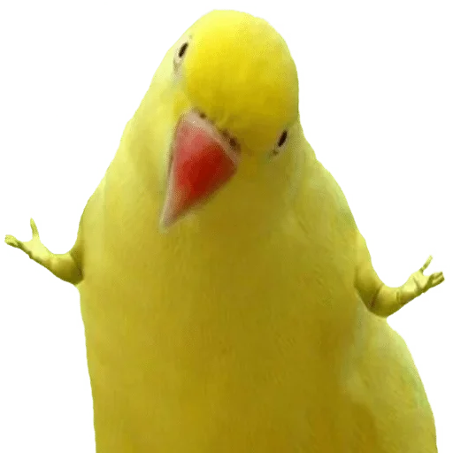 Стикер Alexey — @stckrRobot - 0