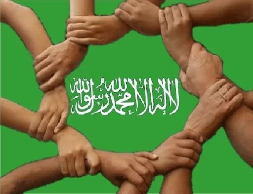 мышца конечность желудок