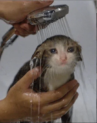 Человек рука комнатный