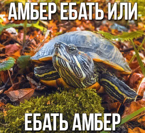 Стикер Черепашки — @stckrRobot - 11