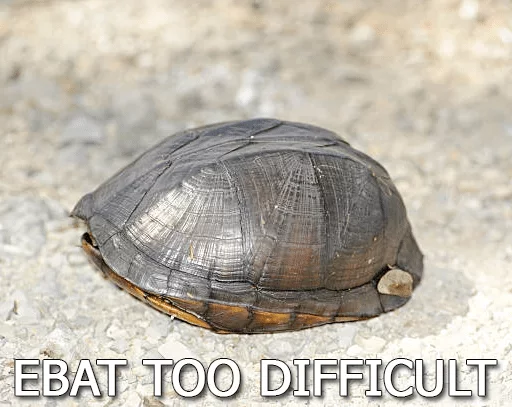 Стикер Черепашки — @stckrRobot - 5