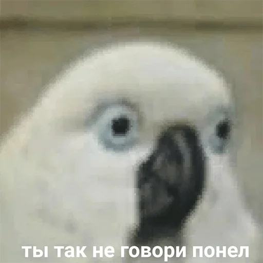 Стикер Brigade — @stckrRobot - 5