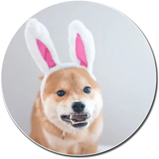 Sticker Shibe — @stckrRobot - 11