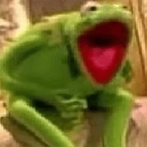 лягушка животное амфибия