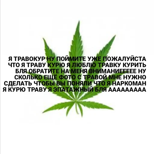 СМС конопля конопля