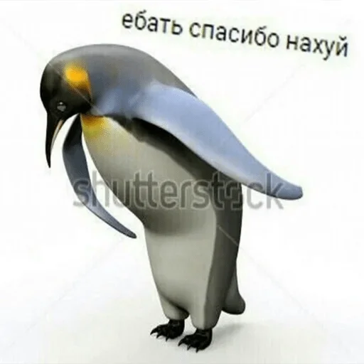 животное птица водная птица