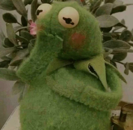 фаршированный плюш игрушка