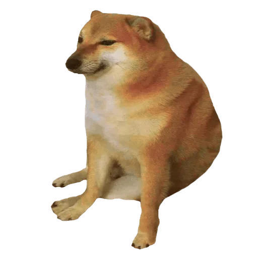 животное млекопитающее домашнее животное