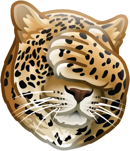 animal mammal big cats