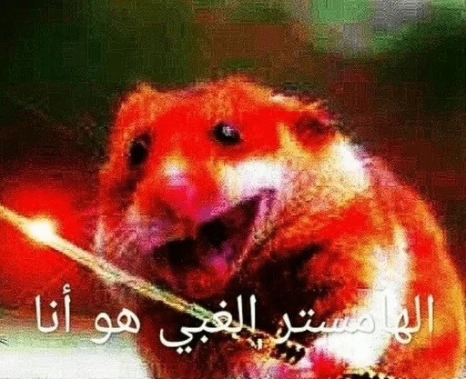 Стикер Poko loco sukarab — @stckrRobot - 8